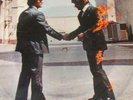 WISH YOU WERE HERE  PINK FLOYD  UK PROMO PICTURE LP NEW