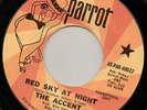 ACCENT-MONSTER 1967 UK FREAKBEAT-Garage-Punk-Psych