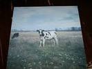 Pink Floyd dark side of the moo rare lp moon live