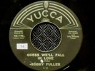 BOBBY FULLER rockabilly YUCCA guess we'll fall LISTEN
