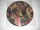VINYL METAL PICTURE SLAYER 