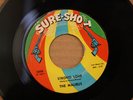 MALIBUS Chance For You And Me STRONG LOVE Northern Soul
