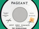SPARKLETONES Just One Chance 45rpm Pageant 1963 WLP