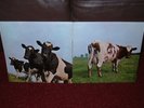 PINK FLOYD Atom Heart Mother LP 1970 HARVEST 1st MINT