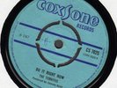The Termites DO IT RIGHT NOW & STAY Classic A1 LISTEN