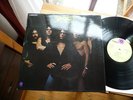 TUCKY BUZZARD WARM SLASH 1971 MINT TOP PROGRESSIVE