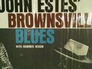 Sleepy John Estes Brownville blues Hammie Nixon Delmark