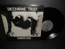 SACCHARINE TRUST LP Paganicons SST Org 1981 N MINT rare