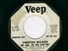 NORTHERN SOUL 45 RPM by TIMOTHY WILSON on Veep 1213 DJ