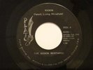 Funk 45 THE KICKIN MUSTANGS Kickin on Plato