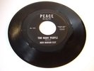 New Hudson Exit - Too many People GARAGE POPSIKE RARE
