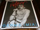 Slash Zine Promo Poster - Darby Crash of Germs