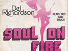 DEL RICHARDSON on ASHOK Soul on fire DUTCH BOOGIE PS 45
