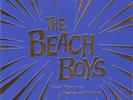 BEACH BOYS - GOOD VIBRATIONS - 2X10