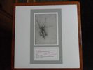Sacred Bones LP- Moon Duo, Zola Jesus, Gary War RARE