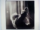 U2 Wide Awake In America STILL SEALED RCA Record Club p