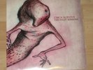 CIRCA SURVIVE 'Inuit Sessions' 12