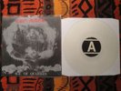 CRO-MAGS Age of Quarrel CLEAR Fan Club Press CROMAGS