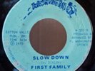 FUNK First Family Slow Down WASHINGTON Boogie Xover