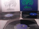 Nick Drake Fruit Tree - Complete Recordings 3 LP NM
