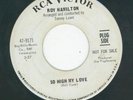 NORTHERN -- ROY HAMILTON   YOU SHOOK ME UP  B/W  SO HIG