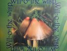 WILL O THE WISP S/T Greek Prog Psych ABSOLUTELY MINT AND UNPLAYED  LP