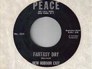 UNCOMMON BUBBLEGUM/Psyche 45/NEW HUDSON EXIT on PEACE (