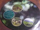 PINK FLOYD LP OBSCURED BY CLOUDS PICTURE DISC