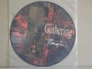THE GATHERING  Mandylion  PICTURE DISC LP 12