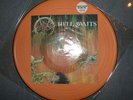 Slayer - Hell Awaits orginal Picture