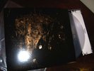 Wolves in the Throne Room- Two Hunters 2LP clear vinyl 