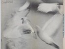 DONALD BYRD Free Form BLUE NOTE LP NY USA mono