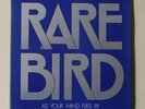 RARE BIRD 