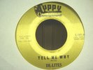 VINTAGE  NORTHERN SOUL 45 rpm DE-LITES ON CUPPY C-101-B
