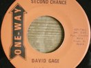 funk soul 45 DAVID GAGE Second Chance on ONE WAY   uniq