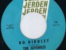 MEGA WILD JERDEN GARAGE PUNK FUZZ ROCKER - THE JUVENILE