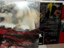 UNIDA DOZER SPLIT LP BEST OF WAYNE-GRO RED VINYL ORIGINAL DOOM KYUSS QOTSA