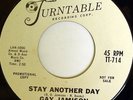rare Soul 45 GAY JAMISON stay another day TURNTABLE
