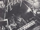 Alley Cats - Nothing Means Nothing 7
