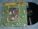 1966 Leaves Hey Joe Mira Psych/Garage Nuggets RARE