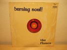 THE FLAMES Burning Soul 1968 SOUTH AFRICA ORIGINAL PSYC