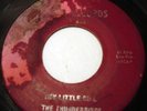 THUNDERBIRDS GARAGE 45 - HEY LITTLE GIRL