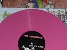 The Unicorns Who Will Cut Our Hair LP pink vinyl island
