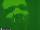 LIMP BIZKIT RESULTS MAY VARY 2003 INTERSCOPE.B0001235-01 OOP 2 vinyl LP