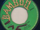 BIGGER BOSS BAMBOO REGGAE DELTA CATS I CAN'T RE-LIVE/I'VE BEEN HURT 45 ?