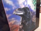 RARE LP THE STRANGLERS  THE RAVEN 3D SLEEVE WITH BAND I
