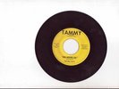 DEL RAYS 45 RPM  RUN-AROUND-LOU b/w MARY IS HER NAME 