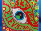 13TH FLOOR ELEVATORS Psychedelic Sounds of US IA 1966 *