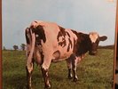 PINK FLOYD ATOM HEART MOTHER LP ORIG SEALED GATEFOLD 19