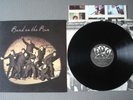 WINGS BAND ON THE RUN EXPORT ZYEX-9293-AB BLAIR'S APPLE